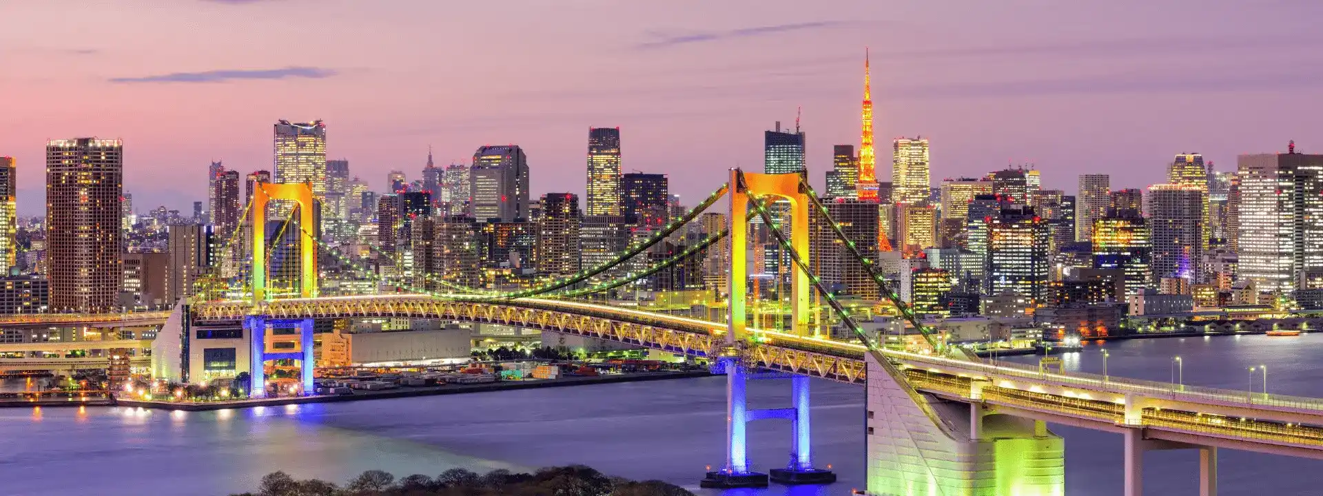 Tokyo Rainbow Bridge at night